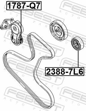 Febest 1787-Q7 - Паразитний / провідний ролик, поліклиновий ремінь autozip.com.ua