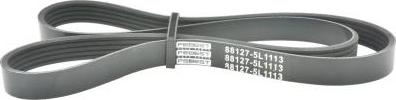 Febest 88127-5L1113 - Поліклиновий ремінь autozip.com.ua