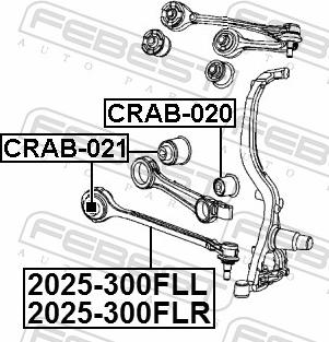 Febest 2025-300FLL - Важіль незалежної підвіски колеса autozip.com.ua