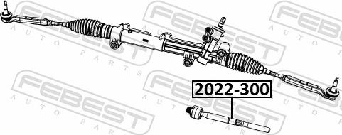 Febest 2022-300 - Осьовий шарнір, рульова тяга autozip.com.ua