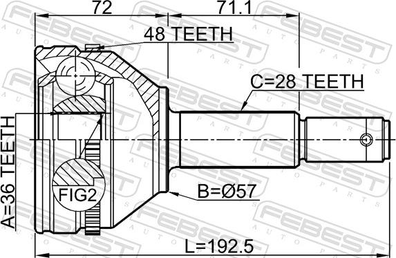 Febest 2110-FMA48 - Шарнір, ШРУС, приводний вал autozip.com.ua