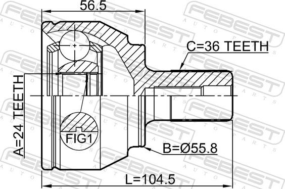 Febest 2110-FOCIIMT - Шарнір, ШРУС, приводний вал autozip.com.ua