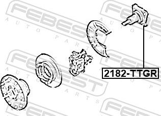 Febest 2182-TTGR - Маточина колеса autozip.com.ua