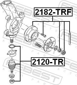 Febest 2120-TR - Шарова опора, несучий / направляючий шарнір autozip.com.ua
