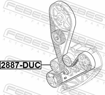 Febest 2890-DUC - Натяжний ролик, ремінь ГРМ autozip.com.ua