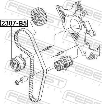 Febest 2387-B5 - Натяжний ролик, ремінь ГРМ autozip.com.ua