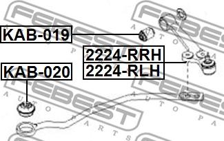 Febest 2224-RRH - Важіль незалежної підвіски колеса autozip.com.ua