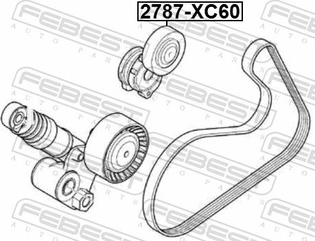 Febest 2787-XC60 - Паразитний / провідний ролик, поліклиновий ремінь autozip.com.ua