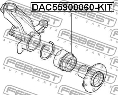 Febest DAC55900060-KIT - Комплект підшипника маточини колеса autozip.com.ua