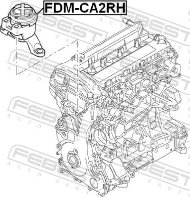 Febest FDM-CA2RH - Подушка, підвіска двигуна autozip.com.ua