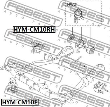 Febest HYM-CM10F - Подушка, підвіска двигуна autozip.com.ua