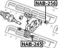 Febest NAB-256 - Сайлентблок, важеля підвіски колеса autozip.com.ua