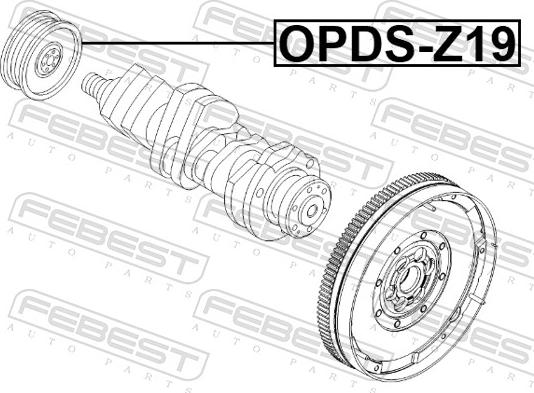 Febest OPDS-Z19 - Ремінний шків, колінчастий вал autozip.com.ua