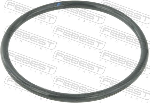 Febest RINGAH-010 - Прокладка, з'єднання дросельної заслінки autozip.com.ua