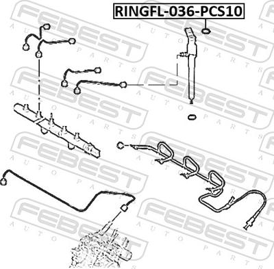 Febest RINGFL-036-PCS10 - Кільце ущільнювача, клапанна форсунка autozip.com.ua
