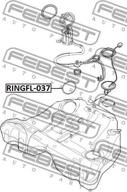Febest RINGFL-037 - Прокладка, датчик рівня палива autozip.com.ua