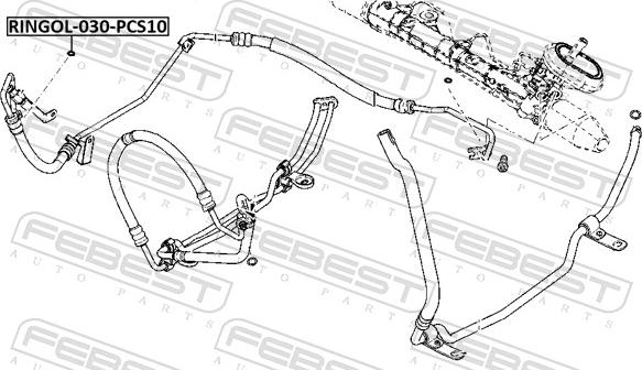 Febest RINGOL-030-PCS10 - Кільце ущільнювача валу, насос гідропідсилювача autozip.com.ua