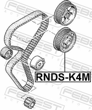 Febest RNDS-K4M - Шестерня приводу розподільного вала autozip.com.ua