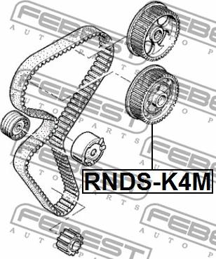 Febest RNDS-K4M - Шестерня приводу розподільного вала autozip.com.ua