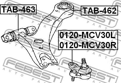 Febest TAB-462 - Сайлентблок рычага LEXUS RX. ES 04- перед. мост низ Пр-во FEBEST autozip.com.ua