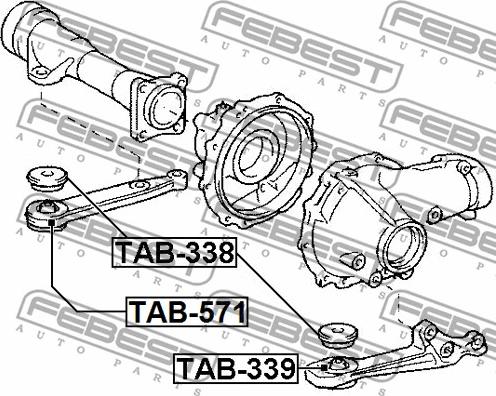 Febest TAB-571 - Опора, диференціал autozip.com.ua