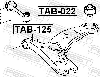 Febest TAB-125 - Сайлентблок, важіль підвіски колеса autozip.com.ua