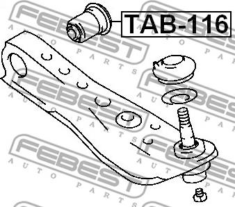 Febest TAB-116 - Сайлентблок, важеля підвіски колеса autozip.com.ua