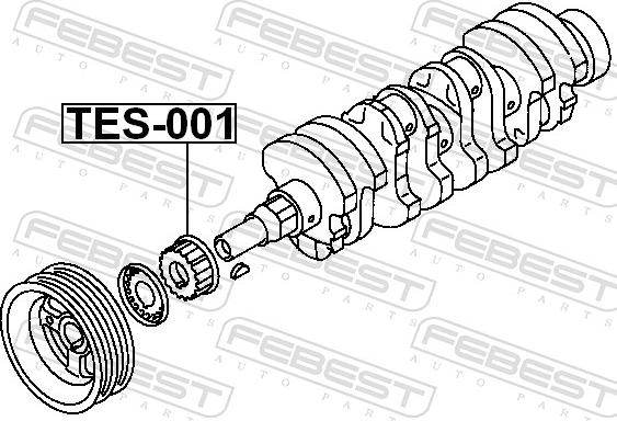 Febest TES-001 - Шестерня, колінчастий вал autozip.com.ua