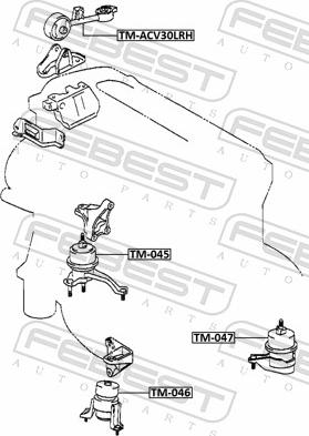 Febest TM-047 - Подушка, підвіска двигуна autozip.com.ua