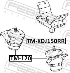 Febest TM-120 - Подушка, підвіска двигуна autozip.com.ua