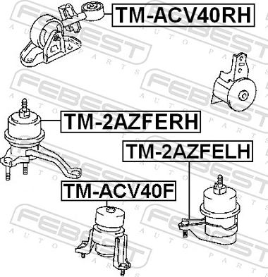Febest TM-2AZFELH - Подушка, підвіска двигуна autozip.com.ua