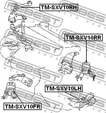 Febest TM-SXV10FR - Подушка, підвіска двигуна autozip.com.ua