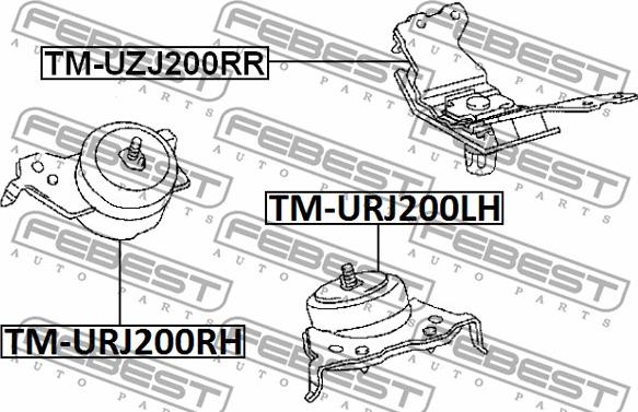 Febest TM-UZJ200RR - Подушка, підвіска двигуна autozip.com.ua