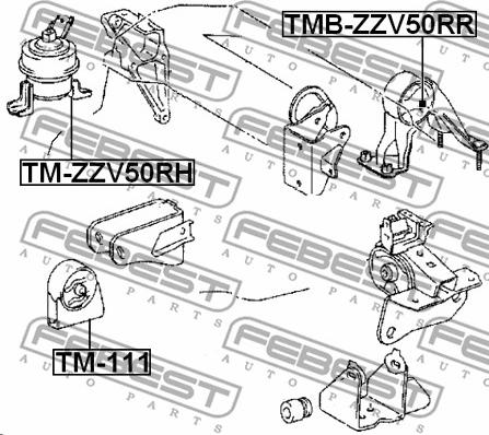 Febest TM-ZZV50RH - Подушка, підвіска двигуна autozip.com.ua