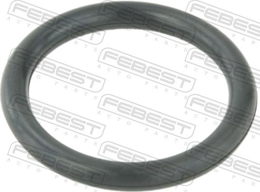 Febest TT-TRAFII - Прокладка, фланець охолоджуючої рідини autozip.com.ua