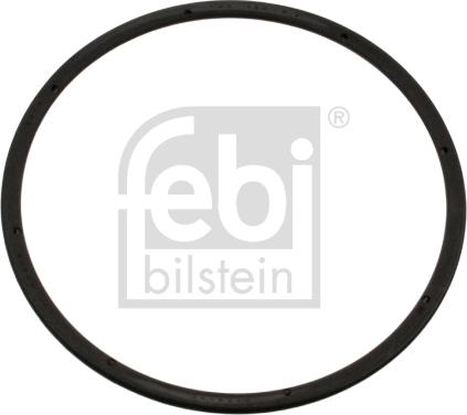 Febi Bilstein 45378 - Ущільнююче кільце, сальник, маточина колеса autozip.com.ua