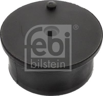 Febi Bilstein 40132 - Подушка, підвіска двигуна autozip.com.ua