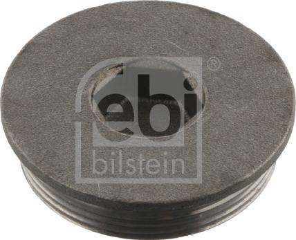 FEBI Bilstein 04819 - Різьбова пробка, блок-картер двигуна autozip.com.ua