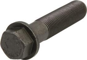 FEBI Bilstein 06076 - Болт маховика autozip.com.ua