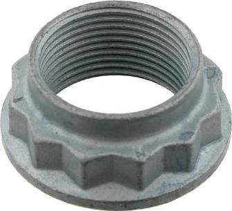 FEBI Bilstein 01841 - Гайка, шийка осі autozip.com.ua