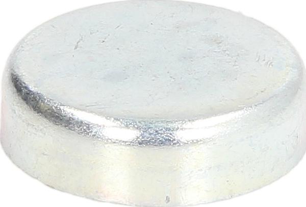 FEBI Bilstein 02544 - Пробка антифризу autozip.com.ua