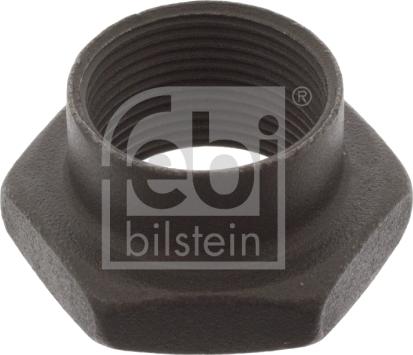 Febi Bilstein 02229 - Гайка, шийка осі autozip.com.ua