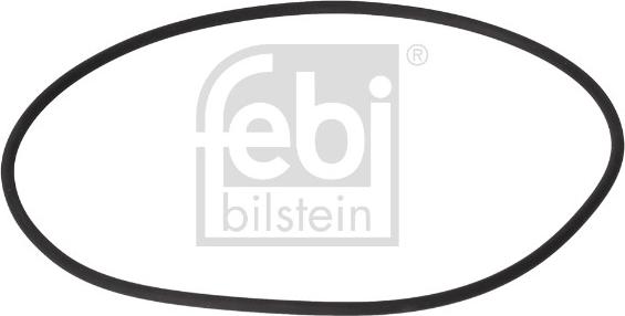 FEBI Bilstein 199892 - Ущільнене кільце, диференціал autozip.com.ua