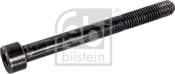 Febi Bilstein 107252 - Болт autozip.com.ua