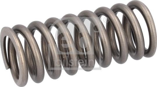 FEBI Bilstein 186613 - Пружина клапана autozip.com.ua