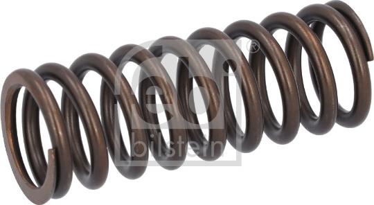 FEBI Bilstein 187746 - Пружина клапана autozip.com.ua