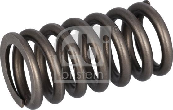 FEBI Bilstein 187756 - Пружина клапана autozip.com.ua