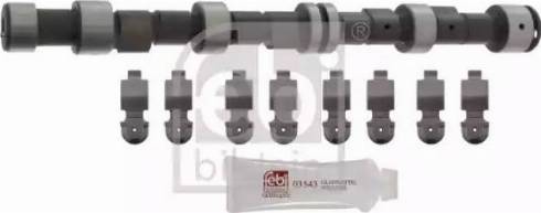 Febi Bilstein 12246 - Комплект распредвала autozip.com.ua