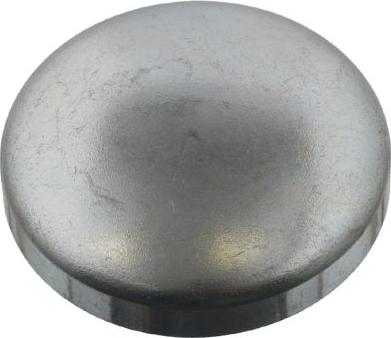 FEBI Bilstein 31794 - Пробка антифризу autozip.com.ua