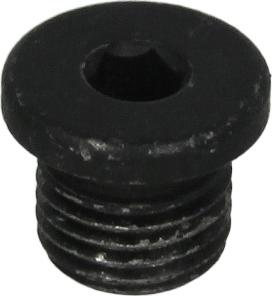 FEBI Bilstein 38788 - Різьбова пробка, масляний піддон autozip.com.ua